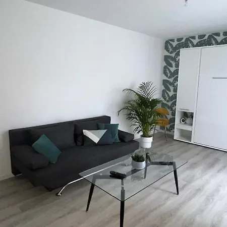 Un Havre De Paix En Plein Coeur De Près Chu Appartement Clermont-Ferrand