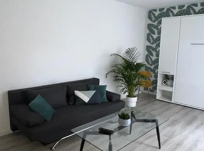 Un Havre De Paix En Plein Coeur De Près Chu Appartement Clermont-Ferrand